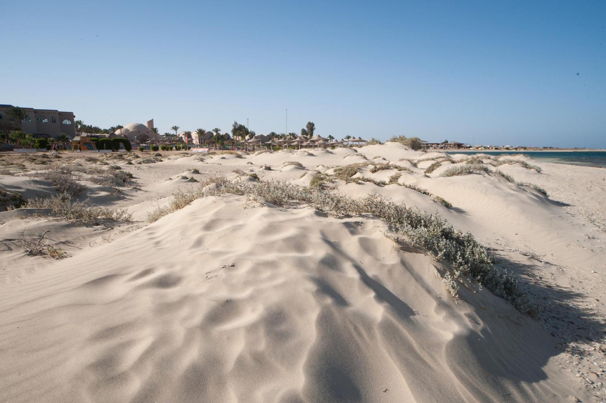 Shams Alam Beach Resort Abu Ghusun Exterior photo